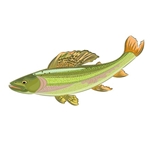 Arctic Grayling Fishing Reindeer Lake
