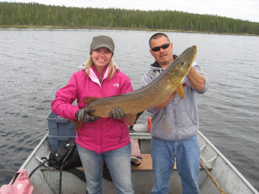 Reindeer Lake Trout Fishing Saskatchewan Canada Fishing Guides