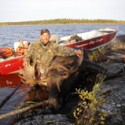 Why Moose Are the Perfect Animals for Taxidermy
