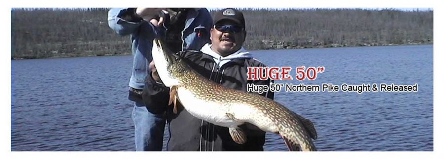 Saskatchewan Northern Pike Fishing