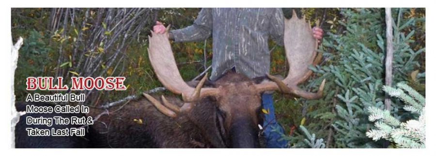 saskatchewan hunting trips