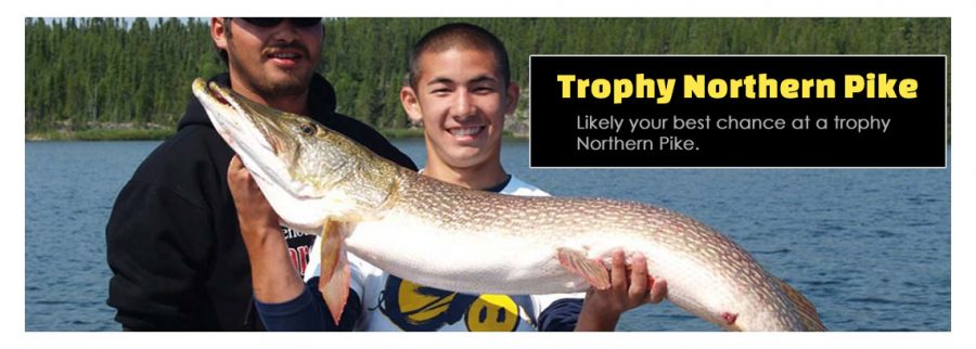 Saskatchewan Northern Pike Fishing