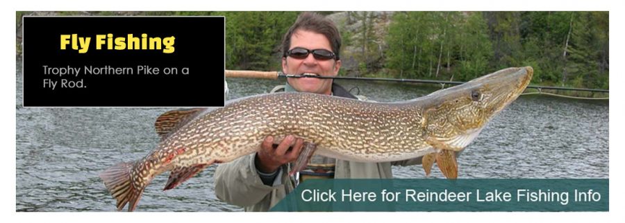 Click Here for Reindeer Lake Fly Fishing Info