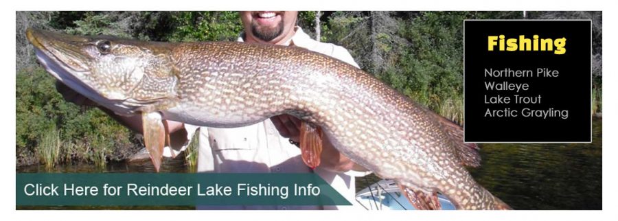 Click Here for Reindeer Lake Fishing Information
