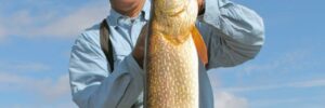A man in sunglasses holds a large fish outdoors under a blue sky, with water and land visible in the background.