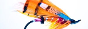 A brightly colored fishing fly with orange, yellow, blue, and black feathers attached to a fishing hook.