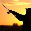 Fishing Benefits for Veterans