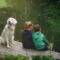 How You Can Go Fishing With Your Dog