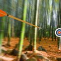 Benefits of Mixing Up Hunting Targets