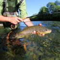 Four Useful Fly Fishing Techniques