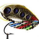 Fish With a Bait or Lure?