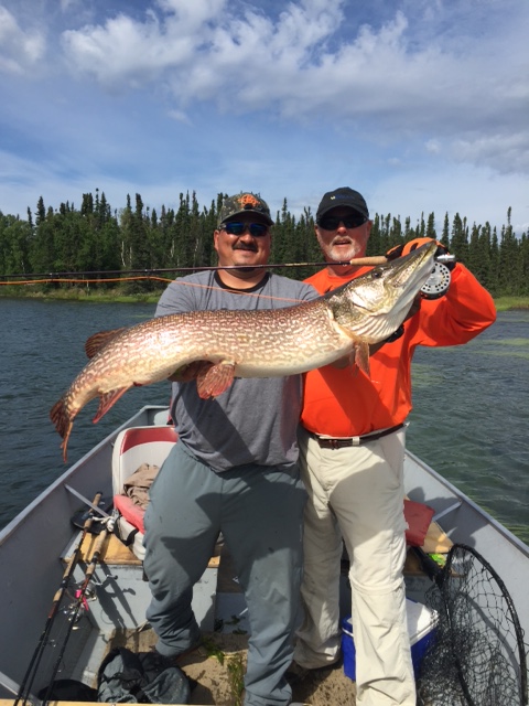 Trophy Northern Pike : Guided Fishing Tours | Lawrence Bay ...