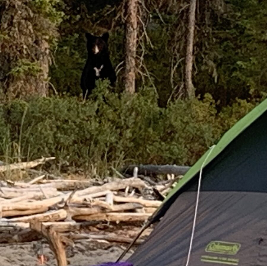 Our Testimonials Hunting and Fishing Reviews Lawrence Bay Lodge