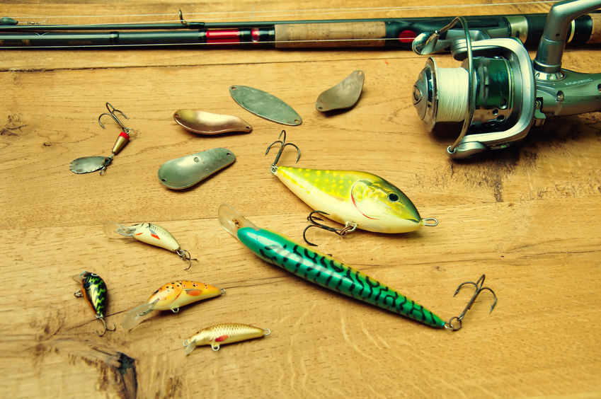 Live Bait Vs. Artificial Bait: Which Is Best? - Lawrence Bay Lodge
