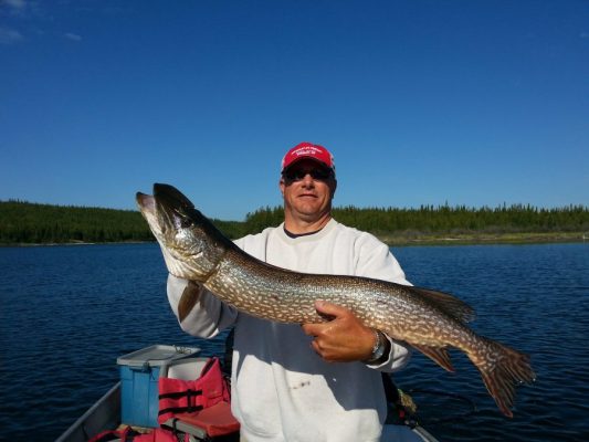 Person in a white sweater and red cap holds a large fish on a boat, with a lake and forested shoreline in the background.