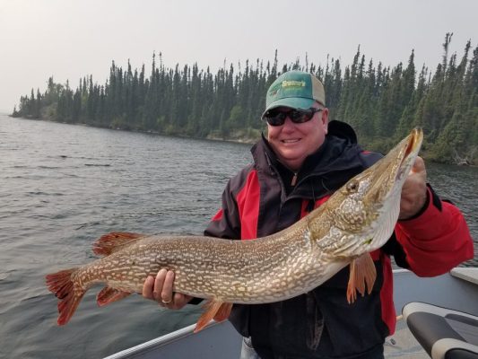 Person on a boat holding a large fish, with a forested shoreline in the background.