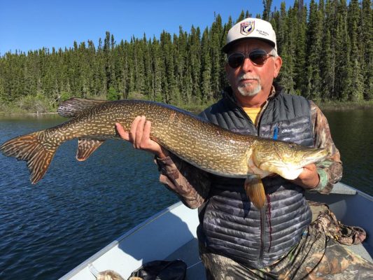 Person holding a large fish on a boat, with a forest backdrop and wearing sunglasses and a cap.
