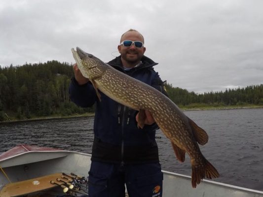 Man holding a large fish on a boat in a lake, surrounded by forest.