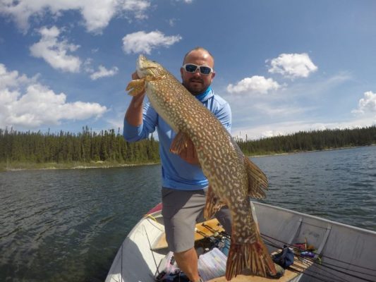 Person in sunglasses holding a large fish on a boat, with a lake and forested shoreline in the background under a cloudy sky.