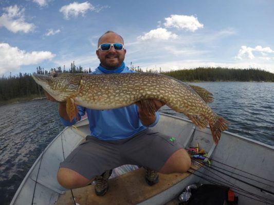 Man holding a large fish on a boat in a lake, wearing sunglasses and a blue shirt, with a forest and cloudy sky in the background.