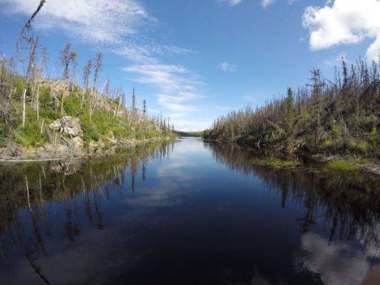 A calm river reflects the sky, flanked by sparse, possibly fire-damaged trees under a partly cloudy blue sky.