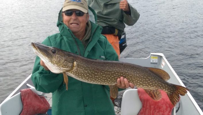 Person in green raincoat holding a large northern pike fish on a boat in a lake.