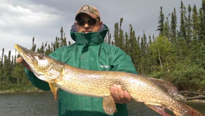 A person in a green jacket and cap holds a large fish in front of a forested lake under a cloudy sky.