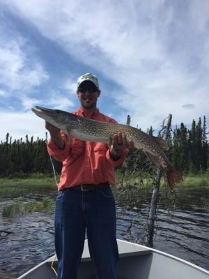 Person in a boat holding a large fish, wearing a salmon-colored shirt, jeans, cap, and sunglasses. Trees and water in the background.