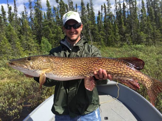 Person holding a large fish on a boat with trees in the background.