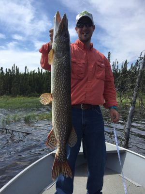 Person in a boat holding a large fish vertically, wearing a cap, sunglasses, and an orange shirt. Trees and lake visible behind.