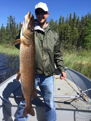 Person in a green jacket holds a large fish in a boat on a lake, surrounded by trees and grass under a clear blue sky.