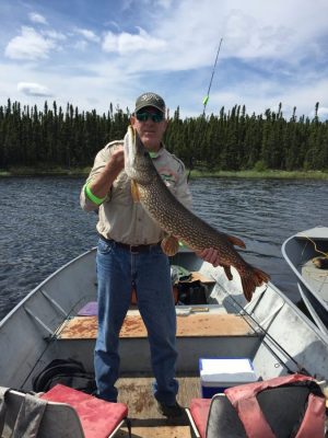 Person standing in a boat holding a large fish with a wooded shoreline in the background.