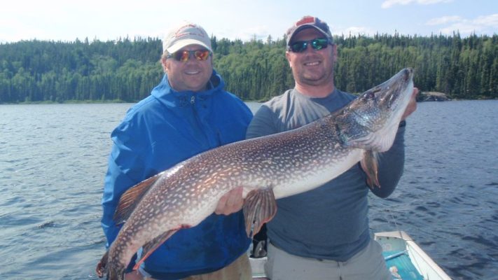 Two men on a boat holding a large fish, with a forested shoreline in the background.