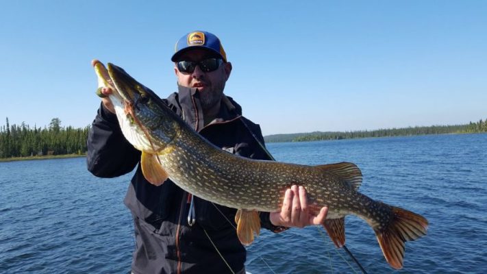 Person holding a large fish on a boat in a lake, wearing sunglasses and a cap, with trees and clear sky in the background.