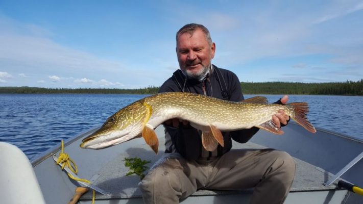 A man sitting in a boat holds a large fish, with a lake and forest visible in the background.