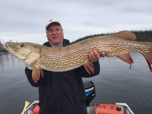 Man holding a large fish on a boat in a lake, with overcast sky and forested shoreline in the background.