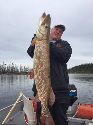 Person in a boat holding a large fish vertically, with a cloudy sky and forest in the background.