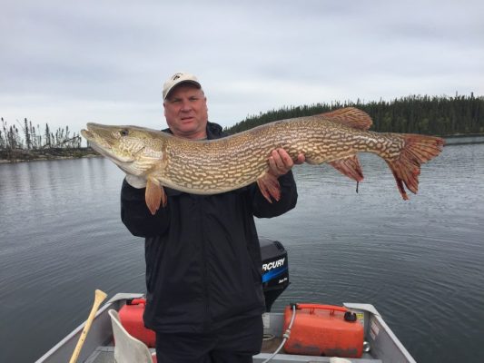 Person on a boat holding a large fish horizontally, with a lake and trees in the background.