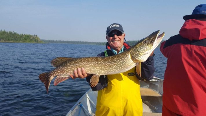 Person in a yellow jacket holds a large fish on a boat, with water and trees in the background.