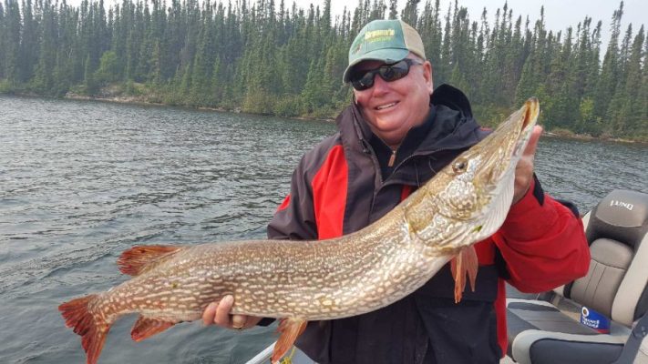 Person holding a large fish on a boat, with a forested shoreline in the background.