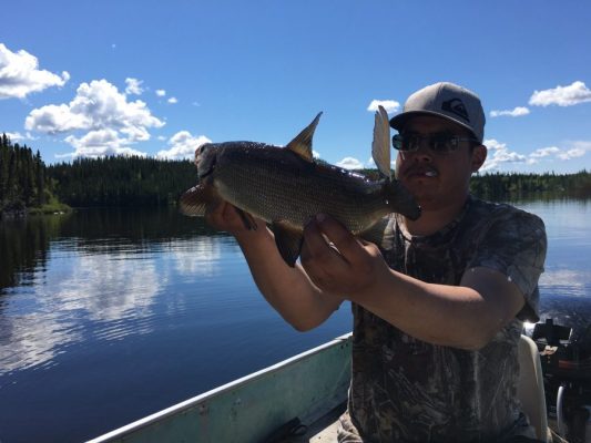 Person in a boat holding a fish with a lake and forest in the background under a clear blue sky.