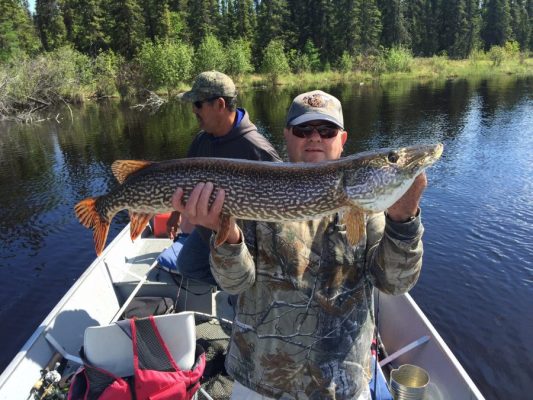 Person holding a large fish while standing in a boat on a river, with another person sitting behind. Trees visible in the background.