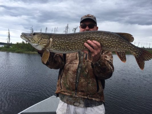 Person in a camouflage jacket holds a large fish by a lakeside under a cloudy sky.