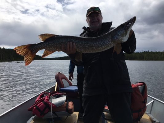 Person holding a large fish on a boat in a lake against a backdrop of cloudy skies and wooded shoreline.