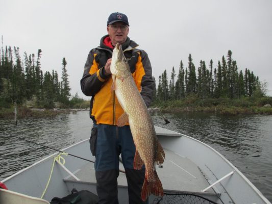 Person holding a large fish on a boat in a lake, surrounded by trees.