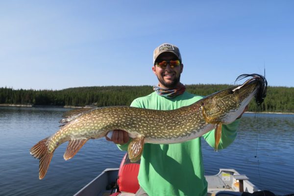 Man standing on a boat holds a large northern pike fish with a lake and forest in the background.