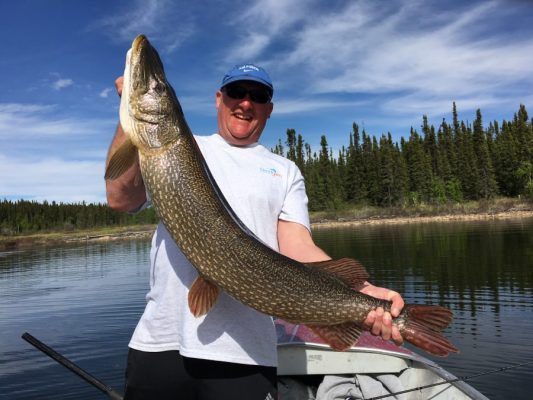 Person standing in a boat holding a large fish with a lake and forest in the background.