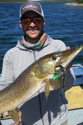Person holding a large northern pike fish with green lure, standing on a boat in a lake.