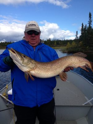 Person in a blue jacket holding a large fish on a boat, with a forested shoreline and cloudy sky in the background.