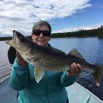 Walleye Caught from Reindeer Lake